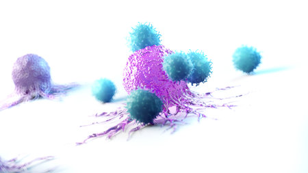 3d rendered medically accurate illustration of a cancer cell being attacked by leucocytesの写真素材