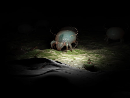 3d rendered illustration of a dust miteの写真素材