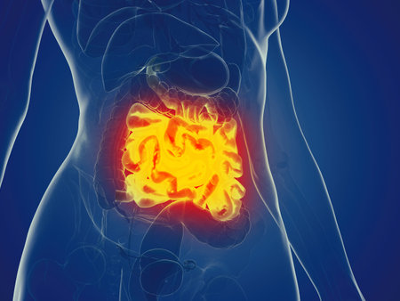 3d rendered medically accurate illustration of a womans small intestineの写真素材