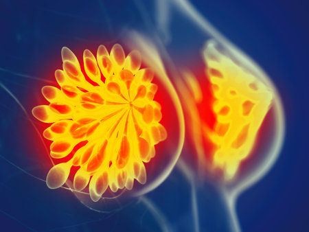 3d rendered medically accurate illustration of a womans mammary glandsの写真素材