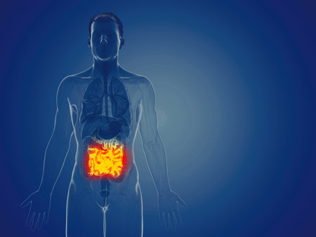 3d rendered medically accurate illustration of a mans small intestineの写真素材