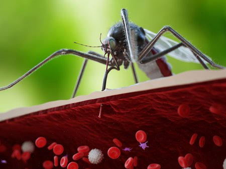 3d rendered medically accurate illustration of a mosquito bite