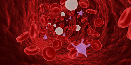 3d rendered medically accurate illustration of blood cells in a human artery