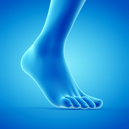 3d rendered medically accurate illustration of a walking footの写真素材