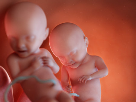 3d rendered medically accurate illustration of twin fetuses - week 31