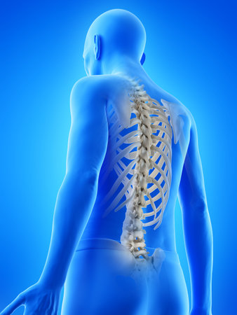 3d rendered medically accurate illustration of an old mans skeletal back