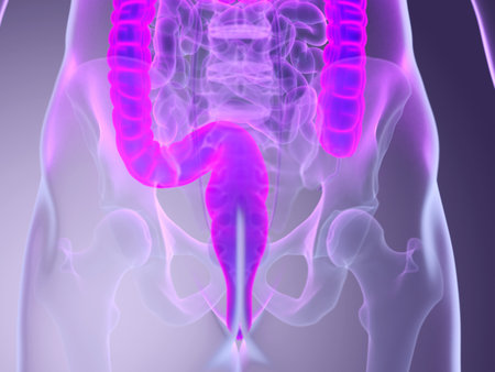 3d rendered medically accurate illustration of a mans colonの写真素材