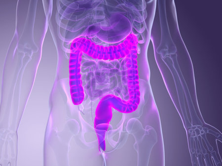 3d rendered medically accurate illustration of a mans colonの写真素材