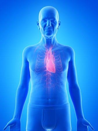 3d rendered medically accurate illustration of an old mans heartの写真素材