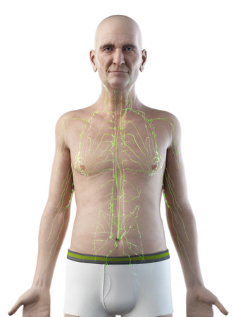 3d rendered medically accurate illustration of an old mans