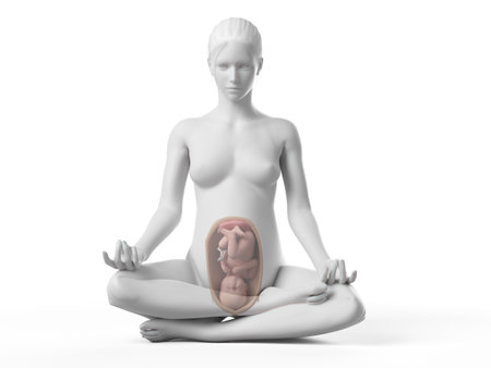 3d rendered medically accurate illustration of a meditating pregnant womanの写真素材