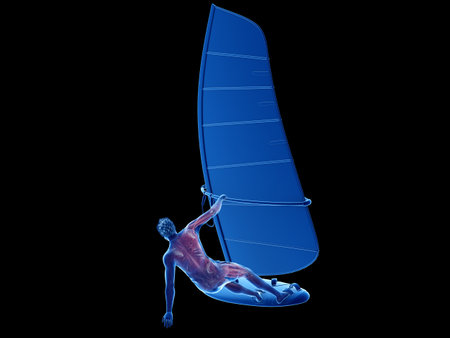 3d rendered medically accurate illustration of a windsurfers muscle anatomyの写真素材