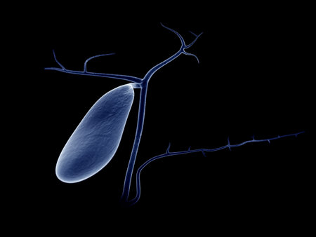 3d rendered medically accurate illustration of the gallbladder