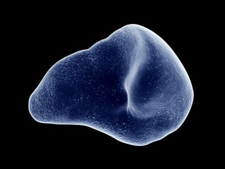 3d rendered medically accurate illustration of the spleen