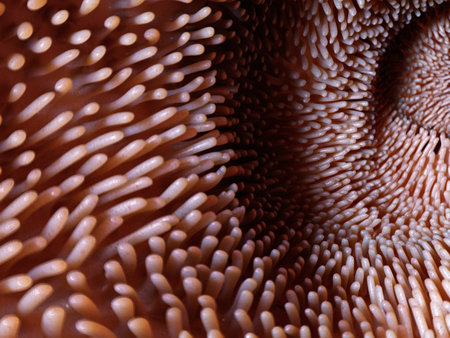 3d rendered medically accurate illustration of the intestinal villi