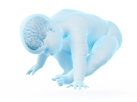 3d rendered medically accurate illustration of the brain of a babyの写真素材