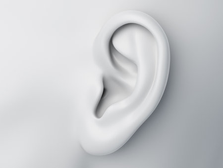 3d rendered medically accurate illustration of a grey abstract female earの写真素材