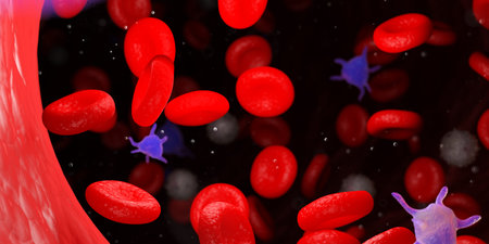 3d rendered medically accurate illustration of the human bloodの写真素材