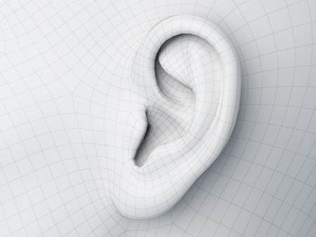 3d rendered medically accurate illustration of a wireframe earの写真素材