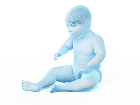 3d rendered medically accurate illustration of the brain of a babyの写真素材