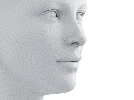 3d rendered medically accurate illustration of a female wireframe faceの写真素材
