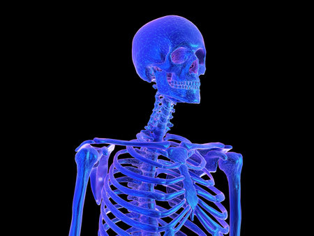 3d rendered abstract synthwave style illustration of a human skeletonの写真素材