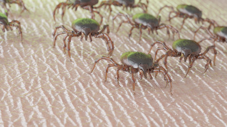 3d rendered illustration of a group of ticks crawling on human skin