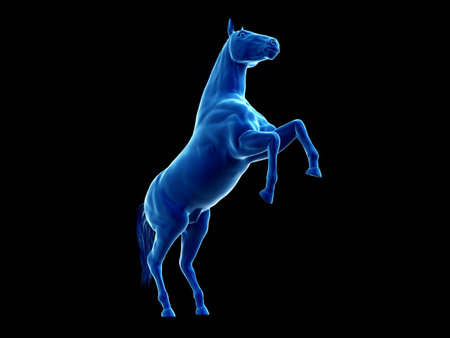 3d rendered medically accurate illustration of the equine anatomy - the integumentary systemの写真素材