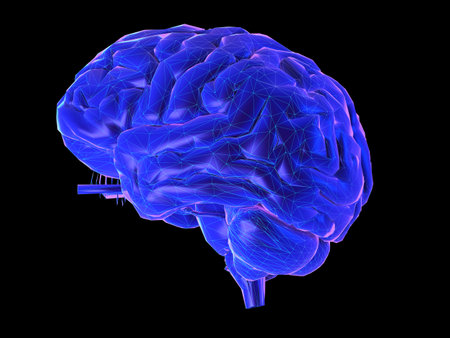 3d rendered synthwave style illustration of a human brain