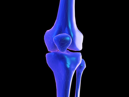 3d rendered abstract synthwave style illustration of a skeletal kneeの写真素材