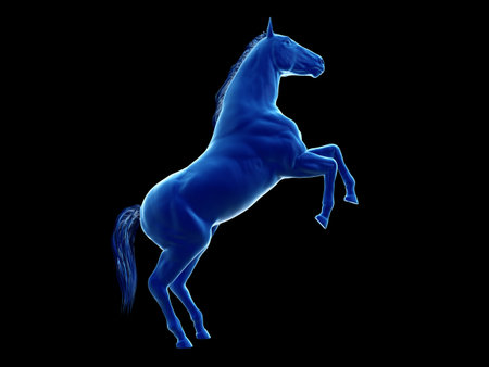 3d rendered medically accurate illustration of the equine anatomy - the integumentary systemの写真素材