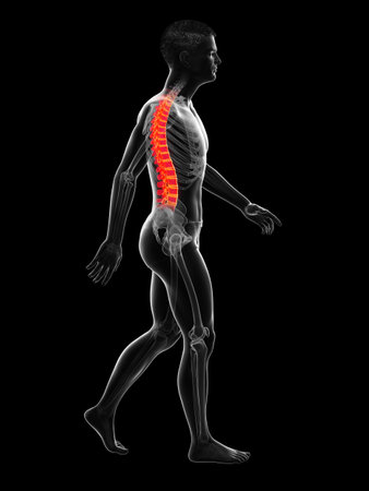 3d rendered medically accurate illustration of a painful back