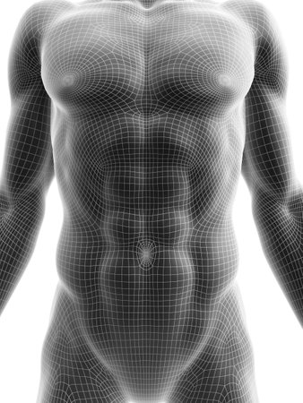 3d rendered medically accurate illustration of sixpack abs