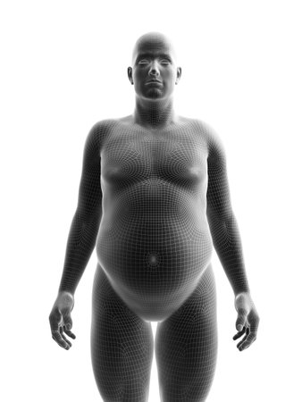 3d rendered medically accurate illustration of an obese maleの写真素材