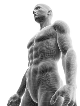 3d rendered medically accurate illustration of a ripped male modelの写真素材