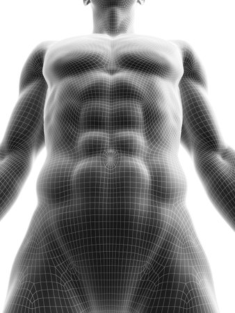 3d rendered medically accurate illustration of sixpack absの写真素材