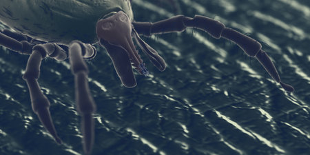 3d rendered illustration of a tick on human skin, sem styleの写真素材