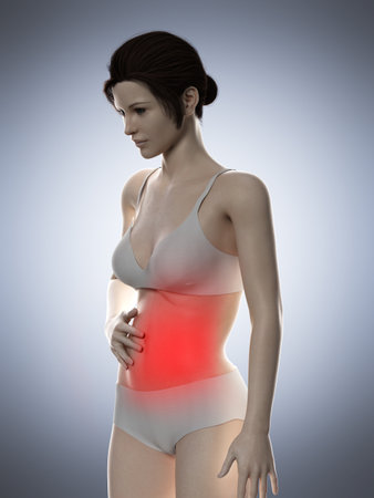 3d rendered medically accurate illustration of a woman having a painful bellyの写真素材