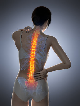 3d rendered medically accurate illustration of a woman having a backache