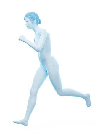 3d rendered medically accurate illustration of a woman runningの写真素材