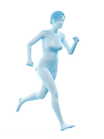 3d rendered medically accurate illustration of a woman runningの写真素材