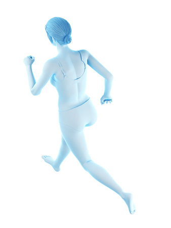 3d rendered medically accurate illustration of a woman runningの写真素材