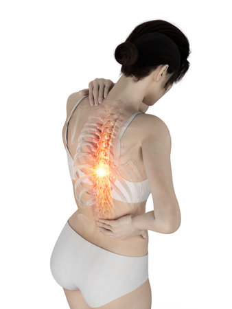 3d rendered medically accurate illustration of a woman having a painful back