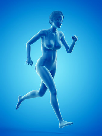 3d rendered medically accurate illustration of a woman runningの写真素材