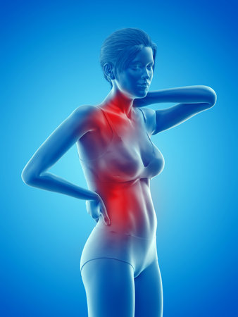 3d rendered medically accurate illustration of a woman having a backacheの写真素材