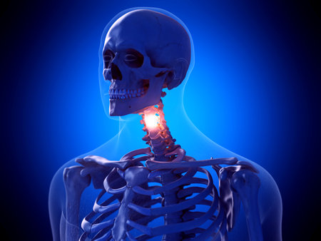 3d rendered medically accurate illustration of a painful neckの写真素材