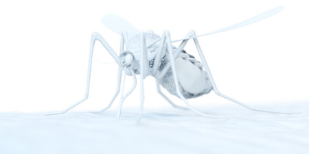 3d rendered abstract illustration of a mosquitoの写真素材