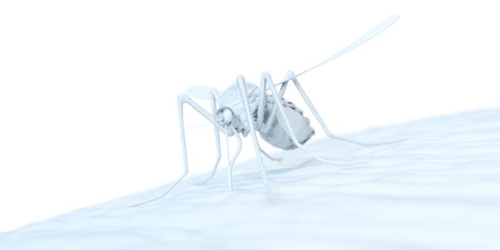3d rendered abstract illustration of a mosquito