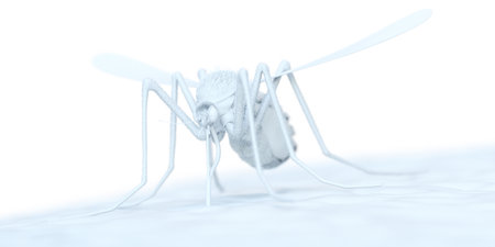 3d rendered abstract illustration of a mosquitoの写真素材