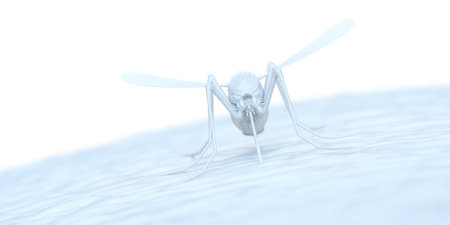 3d rendered abstract illustration of a mosquitoの写真素材